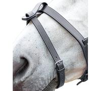 Blenheim Black Flash Strap - Pony