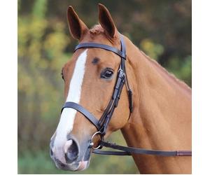 Shires Velociti GARA Plain Cavesson Bridle - Black - Size: Cob