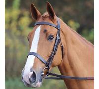 Shires Velociti GARA Plain Cavesson Bridle - Horse Bridles - Black - Size: Cob