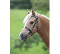 Shires Velociti Gara Plain In-Hand Horse/Pony Bridle | 2 Colours | 4 Sizes
