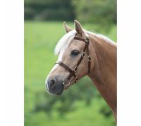Shires Velociti GARA Plain Inhand Bridle | Equestrian Equipment | Havana
