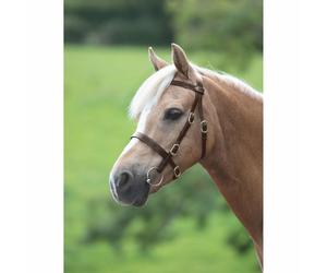 Shires Velociti GARA Plain Inhand Bridle | Equestrian Equipment | Havana