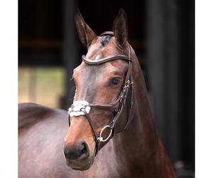 Shires Velociti Lusso Elite Grackle Bridle for Horses Havana - Pony