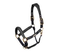 Shires Velociti Lusso Padded Leather Headcollar Black - Pony