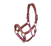 Shires Velociti Lusso Padded Leather Headcollar Burgundy - Burgundy - Cob