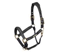 Shires Velociti Lusso Padded Leather Headcollar Black - Cob