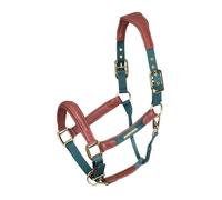 Shires Velociti Lusso Padded Leather Headcollar Green - Green - Full