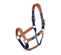 Shires Velociti Lusso Padded Leather Headcollar Navy - Cob
