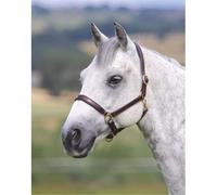Shires Headcollar Velocito Gara Ragley Lined Leather Havana Pony