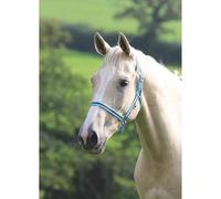 Shires Wessex Cambridge/Navy Headcollar - Full