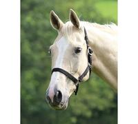Shires Wessex Black Headcollar - Pony