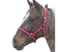 Shires Wessex Nylon Headcollar -Red/Silver Foal