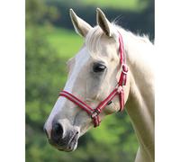 Shires Wessex Nylon Headcollar - Red - Size: Small Pony