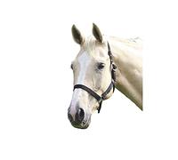 Shires Wessex Black Headcollar - Full