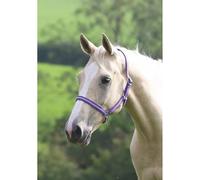 Shires Wessex Purple/Lilac Headcollar - Purple/Lilac - Pony