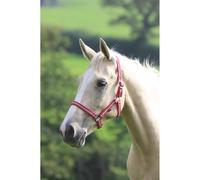 Shires Wessex Red/Silver Headcollar - Red/Silver - Pony
