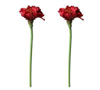 Shirfloral 2Pcs Artificial Red Velvet Amaryllis Stem 29 Inch Tall Stems Silk Petals Bouquet Faux Indoor DIY Craft Table Centerpiece for Home Living Room Wedding Party Arrangements (Red)