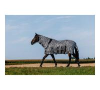 Shirt for horse Riding World Belly Mesh Combo