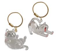 shirylzee 2Pcs Pet Keepsake Keyring, Cute Cat Fur Keepsake, Cat Fur Token, Thoughtful Memorial Keyring Gifts, Cat Owners Memory Bottle Charm for Collecting Pet Hair