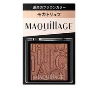 Shiseido - Maquillage Customized Eye Color Single BR634