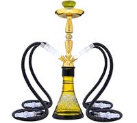 Shisha Hookah,19.7'' Large Shisha Kit for Up To 2~4 Persons Hookah Complete Set with 2/4 hose,with everything Included,Ceramic Bowl,Premium Hose,Beautiful Glass Vase(Nicotine free)