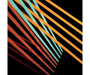 Shit Robot - What Follows [VINYL]