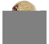 Shitafe Face Masque for Halloween - Horror Butcher Face Masque for Role-playing,Cosplay Decoration Prop for Dress-up Photography Masquerade Carnival Escape Room Drama Performance