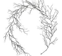 SHITOOMFE Branch Garland 69inch Realistic Dead Twig Garland Gothic Bleak Halloween DIY Decorative PE Black for Front Door, Mantel, Wall