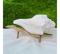 Shiva Lingam Shop Blowing shankh, 6 inch White Natural Loud Blowing shankh, White shankh for Pooja with 7.5 Inch Brass Golden beautiful Stand Sounds Shankh Positive Energy for Relax and Positives