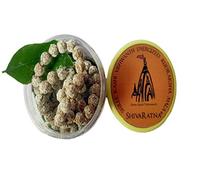 SHIVARATNA Energized Rudraksha Mala 108+1 Beads ( Energized From Kashi Viswanaath Temple With Bhasmi & Belpatra ), Brown