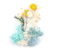 Shiwaki Artificial Flowers Box - Preserved Dried Flower Plant DIY Candle Resin Jewelry Making Craft Decor Shower Home Decorations - Blue, Yellow, White