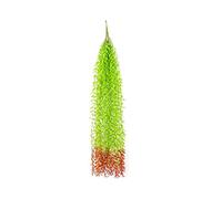 Shiwaki Artificial willow wicker plastic flower plant green leaf rattan indoor shelter wall hanging green plants home decoration(Red tail)