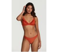 Shiwi Ladies Beau Bikini Set Spice Route Brown size 34 | Bikinis Outlet | Women | Brown 34