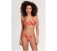Shiwi Ladies Joan Bikini Set Vacation Palm Spice Route Brown size 34 | Bikinis Outlet | Women | Brown 34