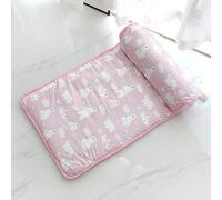 Shixian Ice silk pad suitable for dogs and cats, 2023 new cat/dog bed with pillow, summer cute cat/dog bed, pet pad suitable for dogs and cats, portable and washable