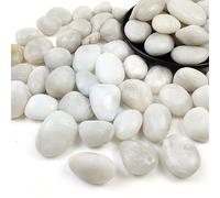 SHIZWU 20-40mm 0.9kg White Polished Pebbles for Plant Pots and Indoor Decor