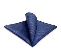 Shlax&Wing Navy Dots Pocket Square Silk Business Handkerchief New, L, Blue