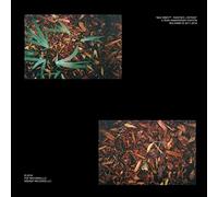 Shlohmo - Bad Vibes: 5th Anniversary Edition [VINYL]