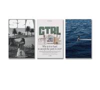 Shmaicheho 3 PCS Sza Poster Music Sos Album Cover Vintage Wall Art Canvas Posters Room Decorative Aesthetic Print Decor 20x30inch(50x75cm)-3pcs Style-3