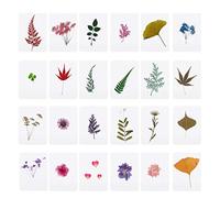 Shntig Multifunctional Dried Flower Mix Pressed Leaves Plant Face Decoration Soap Candle Art Decoration