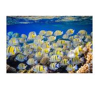 Shoal Manini Convict Surgeonfish Coral Puzzle Game for Family Wooden Puzzle Toy Educational Games Puzzles for Home Decor_1000pcs