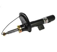 Shock absorbe MAGNUM TECHNOLOGY AGC009MT for CITROEN ZX (N2) 2 1992-1997