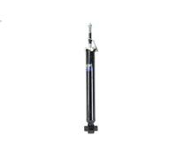 1x Shock Absorber (Single) G1095 Rear Monroe Original 48530-02490 48530-02491