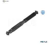 MEYLE 11-26 725 0009 Shock absorber