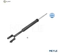 MEYLE 15-26 725 0000 Shock absorber