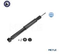MEYLE 16-26 725 0009 Shock absorber