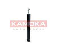 REAR AXLE SHOCK ABSORBER 2000056