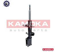 SHOCK ABSORBER 2000433 FOR BMW X5E53 M62B44 N62B44A 4.4L M62B46 4.6L N62B48 4.8L