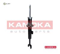 SHOCK ABSORBER 2000656 FOR BMW B47D20A N47D20C/D N20B20A/B 2.0L 4cyl 5 F11 3.0L