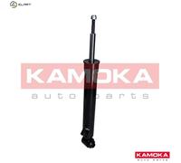 SHOCK ABSORBER 2000660 FOR BMW X5E70 M57D30 N57D30A/B N55B30A N52B30A/BF 3.0L